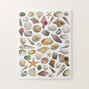 Puzzle Le casse-tête du collecteur Shell