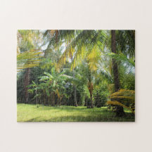 Le casse-tête El Zonte