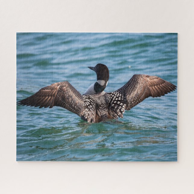 Puzzle Le casse-tête Loon rare (Horizontal)
