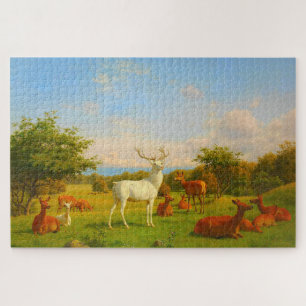 Puzzle Le Cerf De Chien Blanc En Plein Air Nature