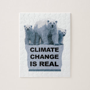 PUZZLE LE CHANGEMENT CLIMATIQUE EST RÉEL