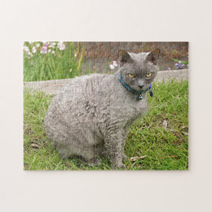 Puzzle Le chat animal de compagnie Devon Rex dans le jard
