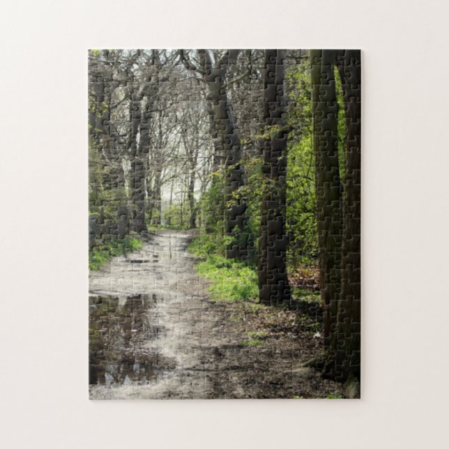 Puzzle Le chemin humide de magma de pluie dans la mousse (Vertical)