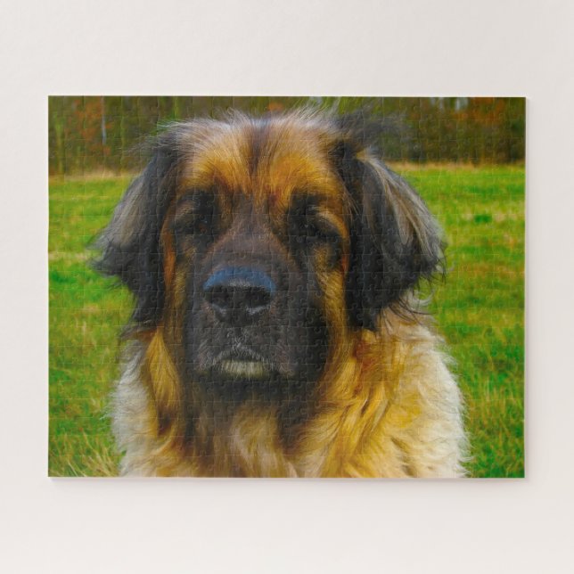 Puzzle Le Chien Leonberger Élevait Jigsaw. (Horizontal)