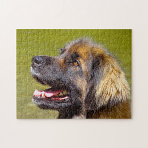 Puzzle Le Chien Leonberger Élevait Jigsaw.