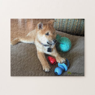Puzzle Le Chiot De Shiba Inu Avec Des Jouets Colorés Phot