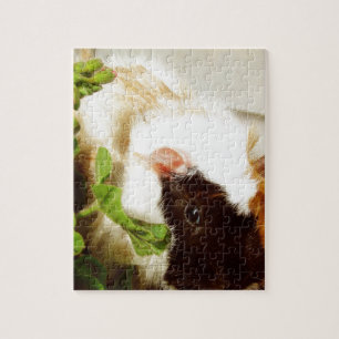 Puzzle Le cochon de Guinée dans les fleurs