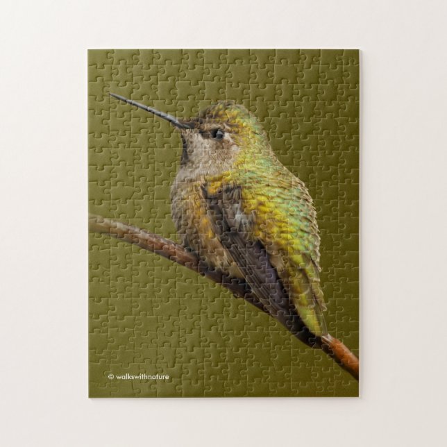 Puzzle Le colibri d'Anna sur la Trumpetvine écarlate (Vertical)