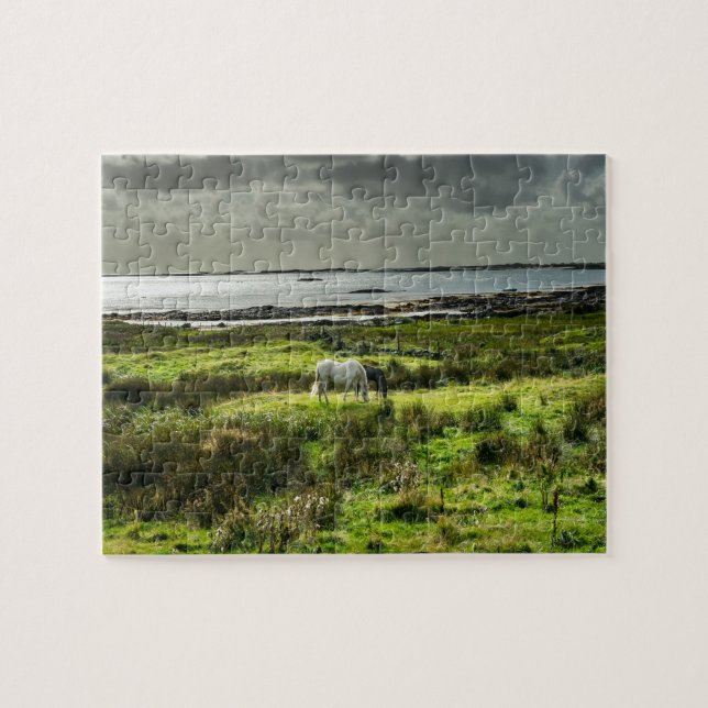 Puzzle Le Connemara poney Galway Irlande. (Horizontal)