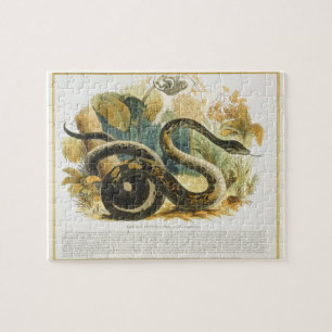 Puzzle Le constricteur de boa, pub. éducatif