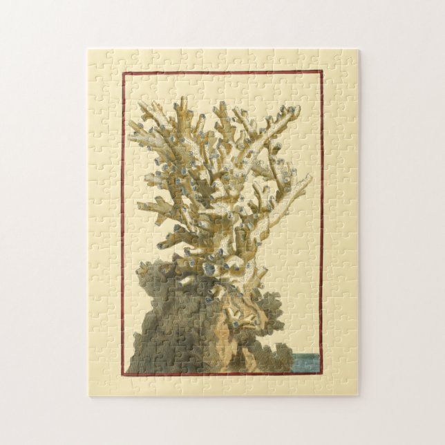Puzzle Le corail de la mer (Vertical)