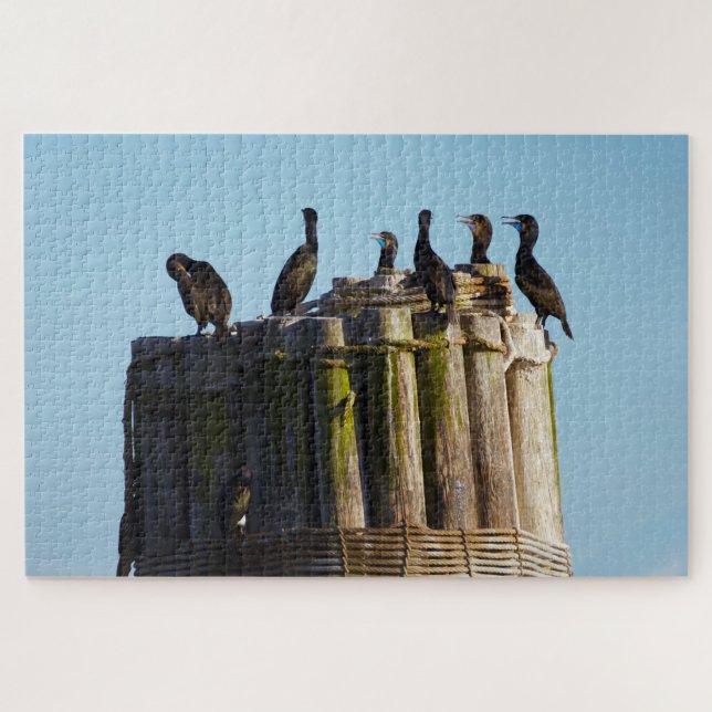 Puzzle Le Cormorant de Brandt (Horizontal)