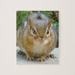 Puzzle Le Cute Chipmunk A L'Oeil Sur Vous