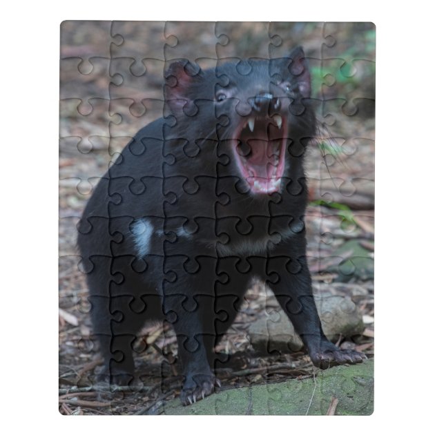 nouveau avec étiquette * Diable de Tasmanie-Australian Wildlife Jouet Modèle 88656 par COLLECTA 