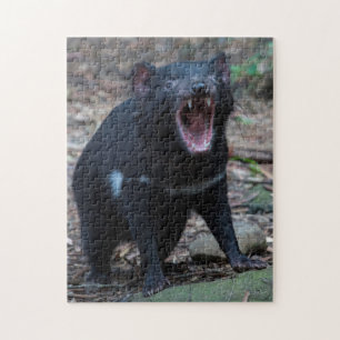 Puzzle Le diable de Tasmanie en Tasmanie Australie, 252 p