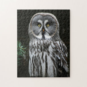 Puzzle Le grand hibou gris 11x14 252pc jpcnm