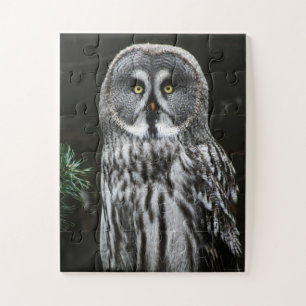 Puzzle Le grand hibou gris 11x14 30pc jpcnm