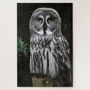 Puzzle Le grand hibou gris 20x30 1014pc jpm