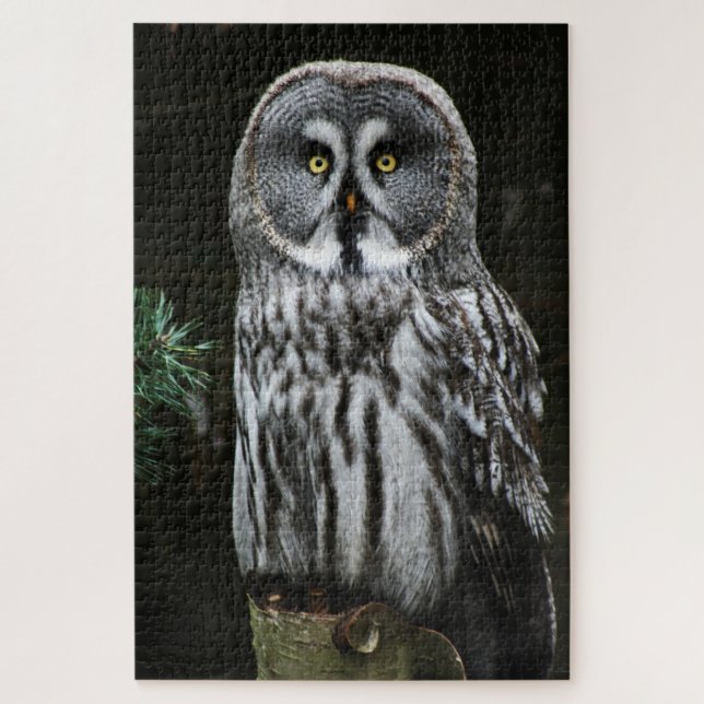 Puzzle Le grand hibou gris 20x30 1014pc jpm (Vertical)