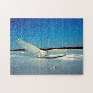 Puzzle Le grand oiseau de proie de la Chouette des neiges