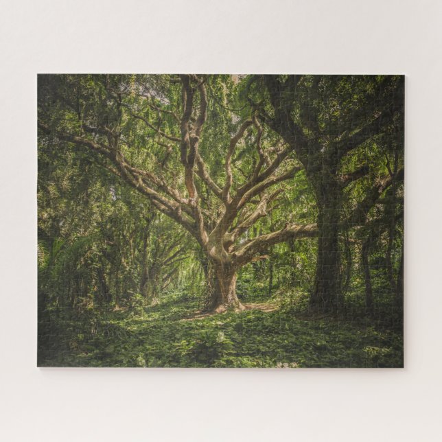Puzzle Le grand vieux arbre dans la forêt (Horizontal)