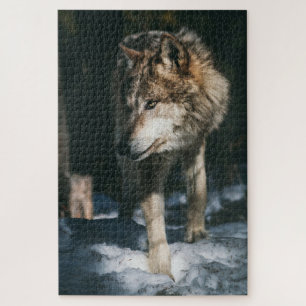 Puzzle Le loup dans l'animal sauvage