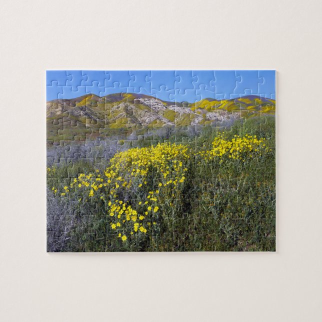Puzzle Le monument national de Carrizo Plain (Horizontal)