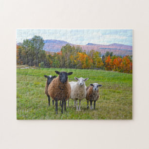 Puzzle Le mouton du Vermont en automne
