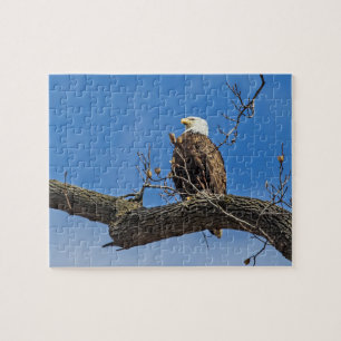 Puzzle Le Noble aigle des chauves-souris