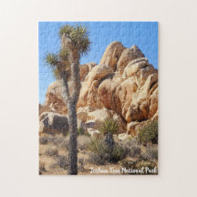 Le Parc national de Joshua Tree