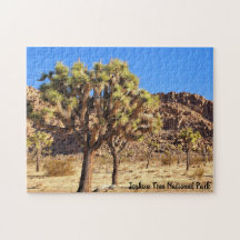 Le Parc national de Joshua Tree