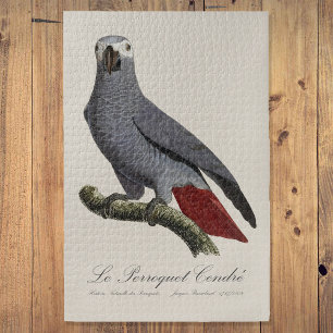 Puzzle Le Perroquet Cendre - Illustration du 19e siècle 