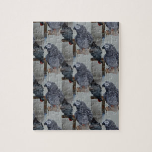Puzzle Le perroquet gris du Congo en miroir