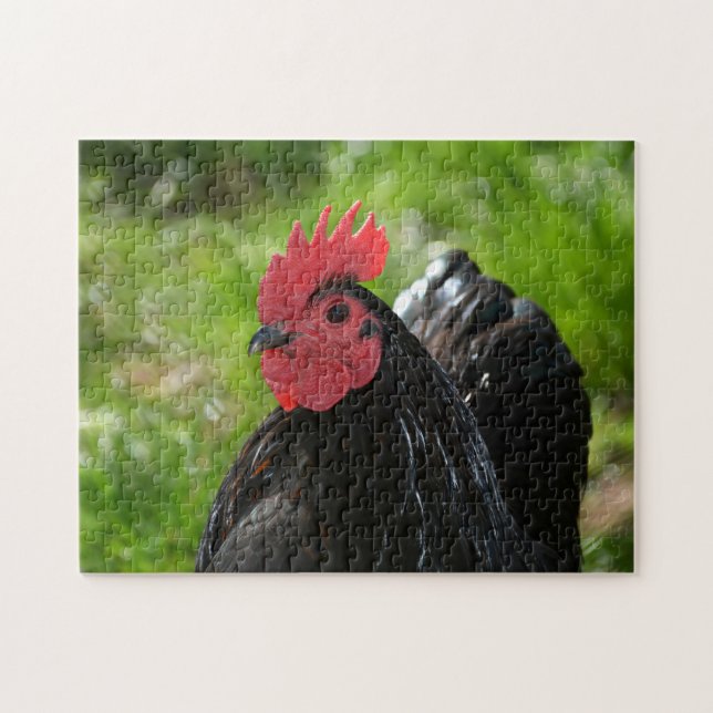 Puzzle Le poulet (Horizontal)
