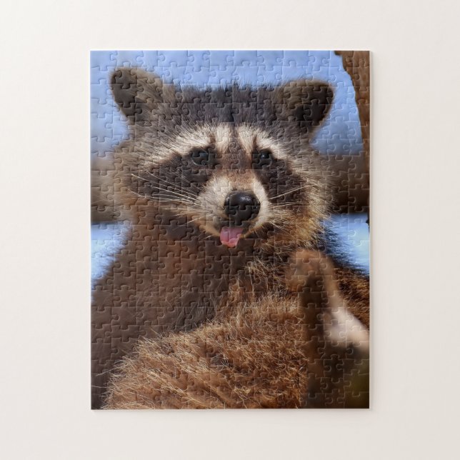 Puzzle Le raton laveur drôle le collant est langue (Vertical)