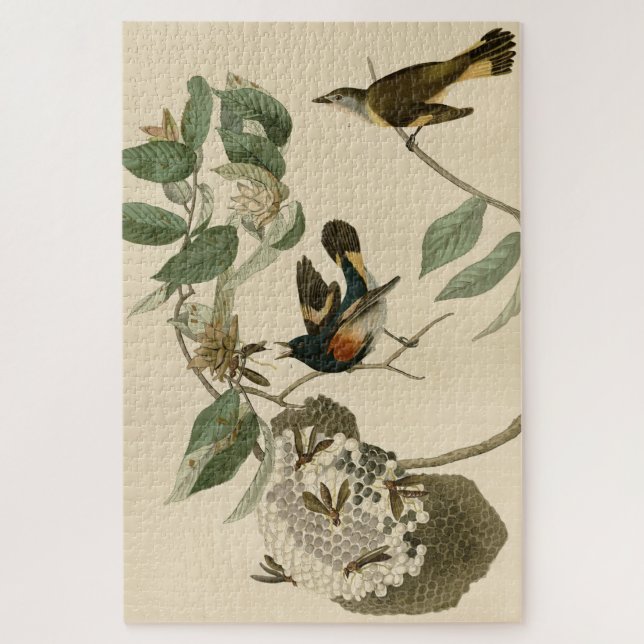 Puzzle Le Redstart américain des oiseaux d'Amérique d'Aud (Vertical)