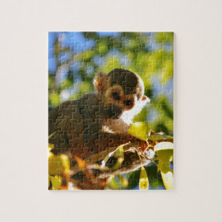 Puzzle Le singe brille