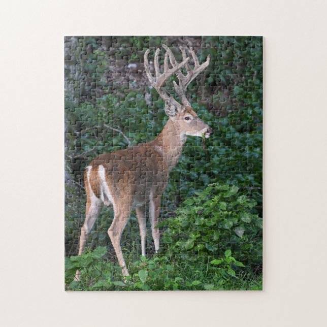 Puzzle Le Trophée Whitetail Deer Buck Dans Le Velvet (Vertical)