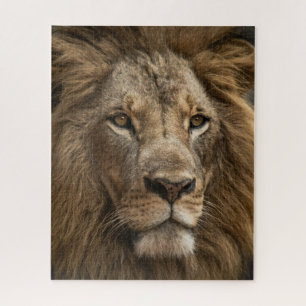 Puzzle Le visage du lion sauvage Grosse chatte faune