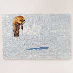 Puzzle Leap Fox   Yukon, Canada