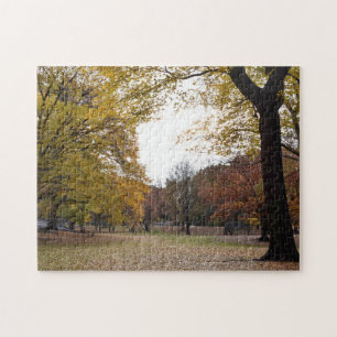 Puzzle Leaves d'automne à New York City Central Park NYC