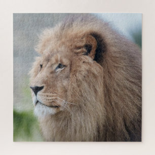 Puzzle L'Embrace du lion