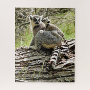 PUZZLE LEMUR À BORD