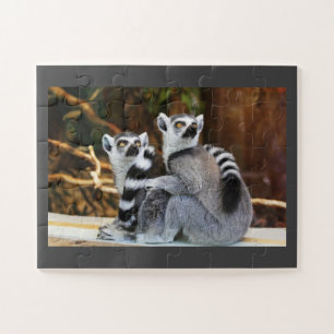 Puzzle Lemur Pair