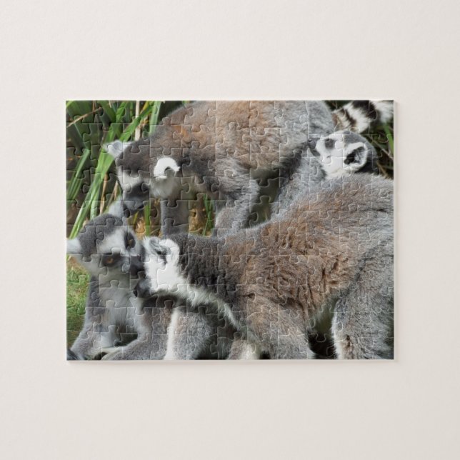 Puzzle Lemurs (Horizontal)