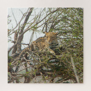 Puzzle Leopard dans l'arbre