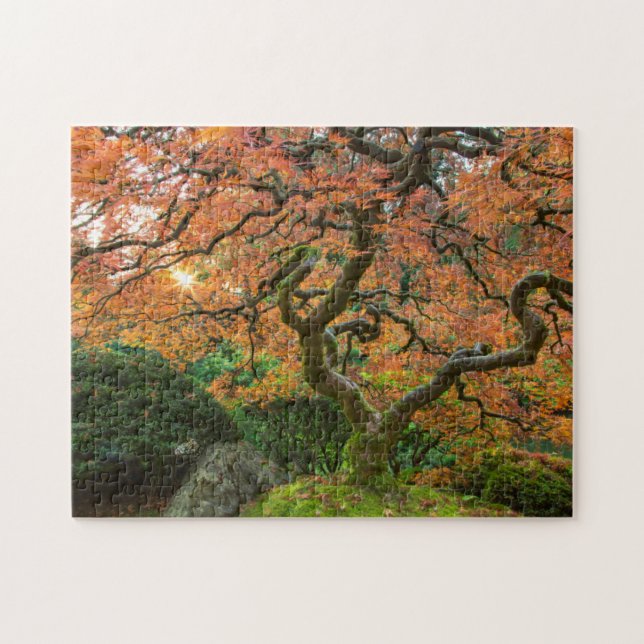 Puzzle L'Érable Dans Les Jardins Japonais En Automne (Horizontal)