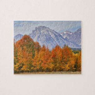 Puzzle Les arbres d'Aspen avec la chaîne de montagnes de