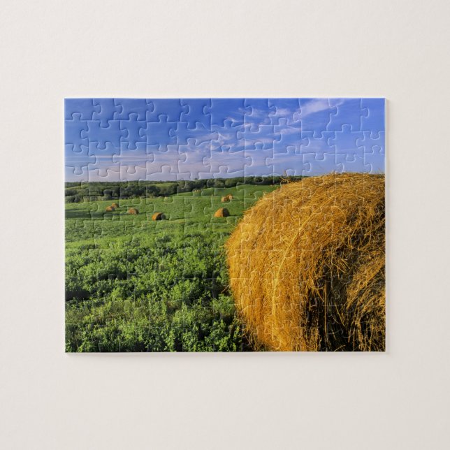 Puzzle Les balles de foin s'approchent de Bottineau le (Horizontal)