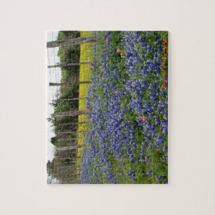 Puzzle Les Bluebonnets de Texas mettent en boîte la